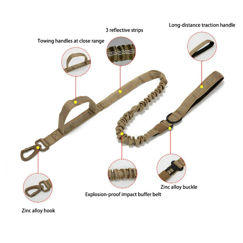 Pet Dog Collar Leash Set