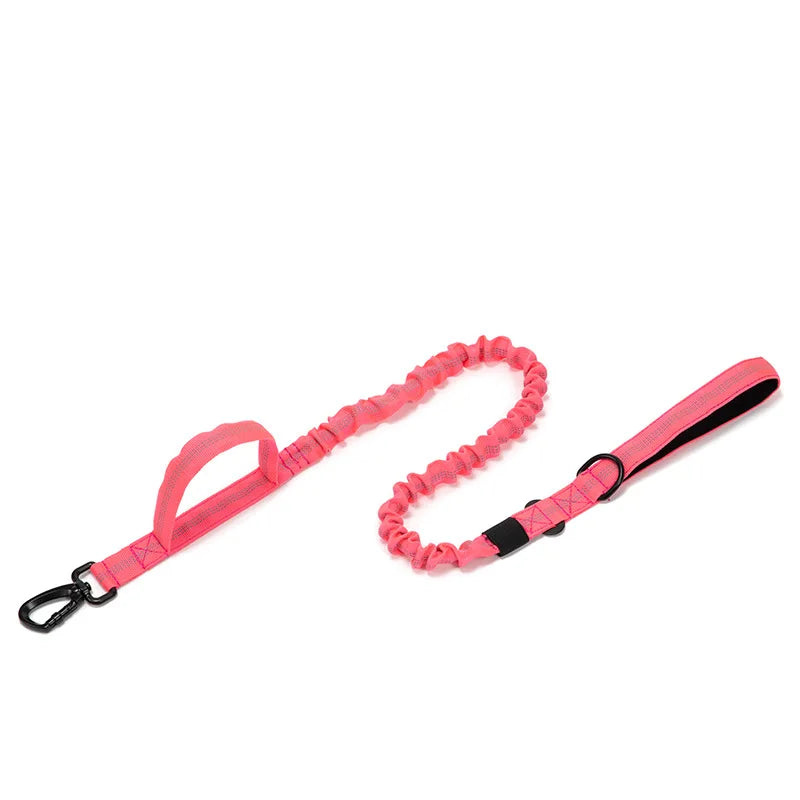 Pet Dog Collar Leash Set