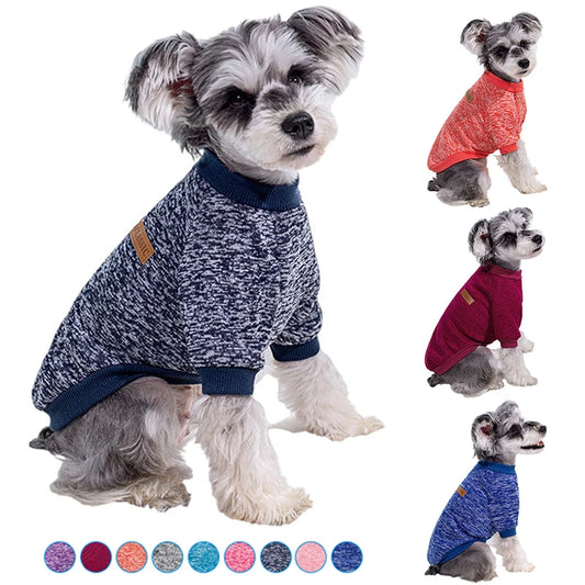 Puppy Cat Jacket