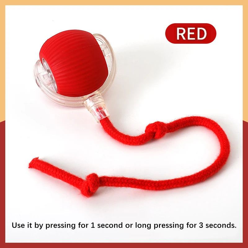 Smart  Electronic  Pet Toy